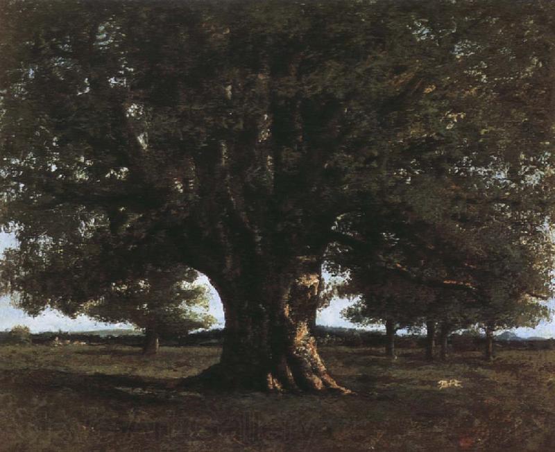 Gustave Courbet Tree France oil painting art